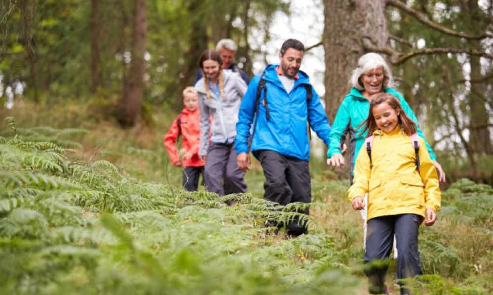 Get Your Share Of Almost 200000000 Claim Your Pension Top Up Today - bfsq5wg